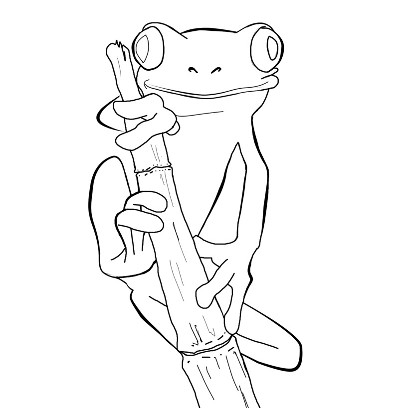 rainforest frog coloring pages - photo #10