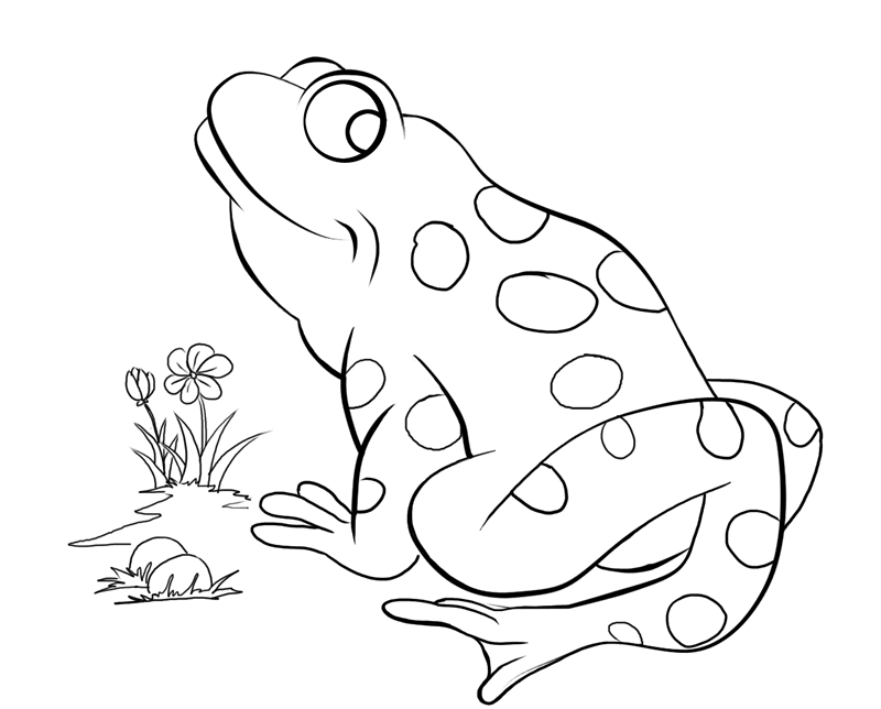 Frog Coloring Page 13