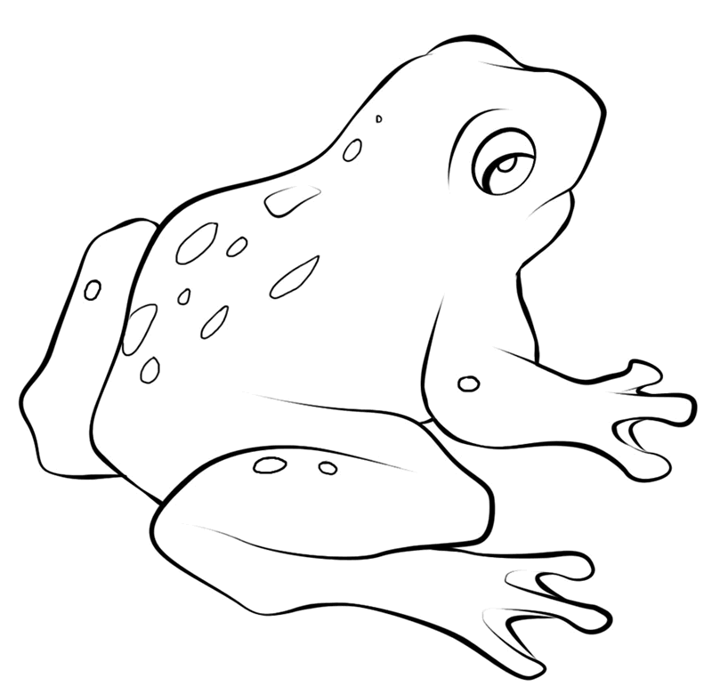 Frog Coloring Page 18