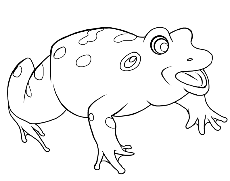 Frog Coloring Page 23