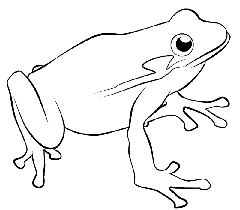 Frog Coloring Page 26