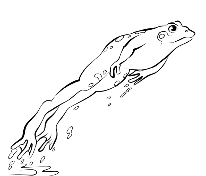 Frog Coloring Page 30