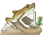 Frog Clip Art 16 (2)
