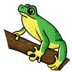 Frog Clip Art 18